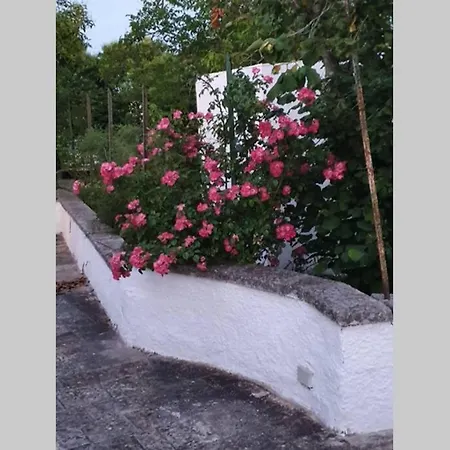 Trulli Relax A Martina Franca Villa Exterior photo